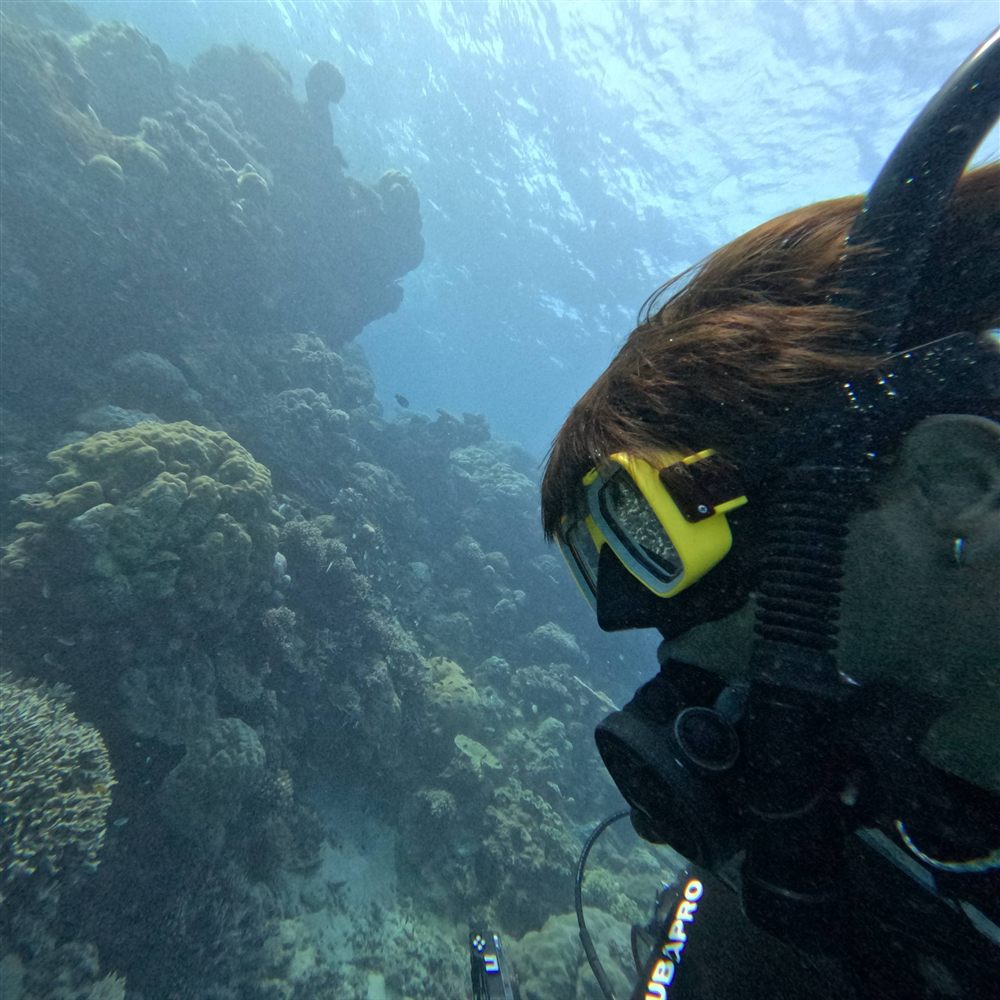 Scuba diving alongside a coral reef